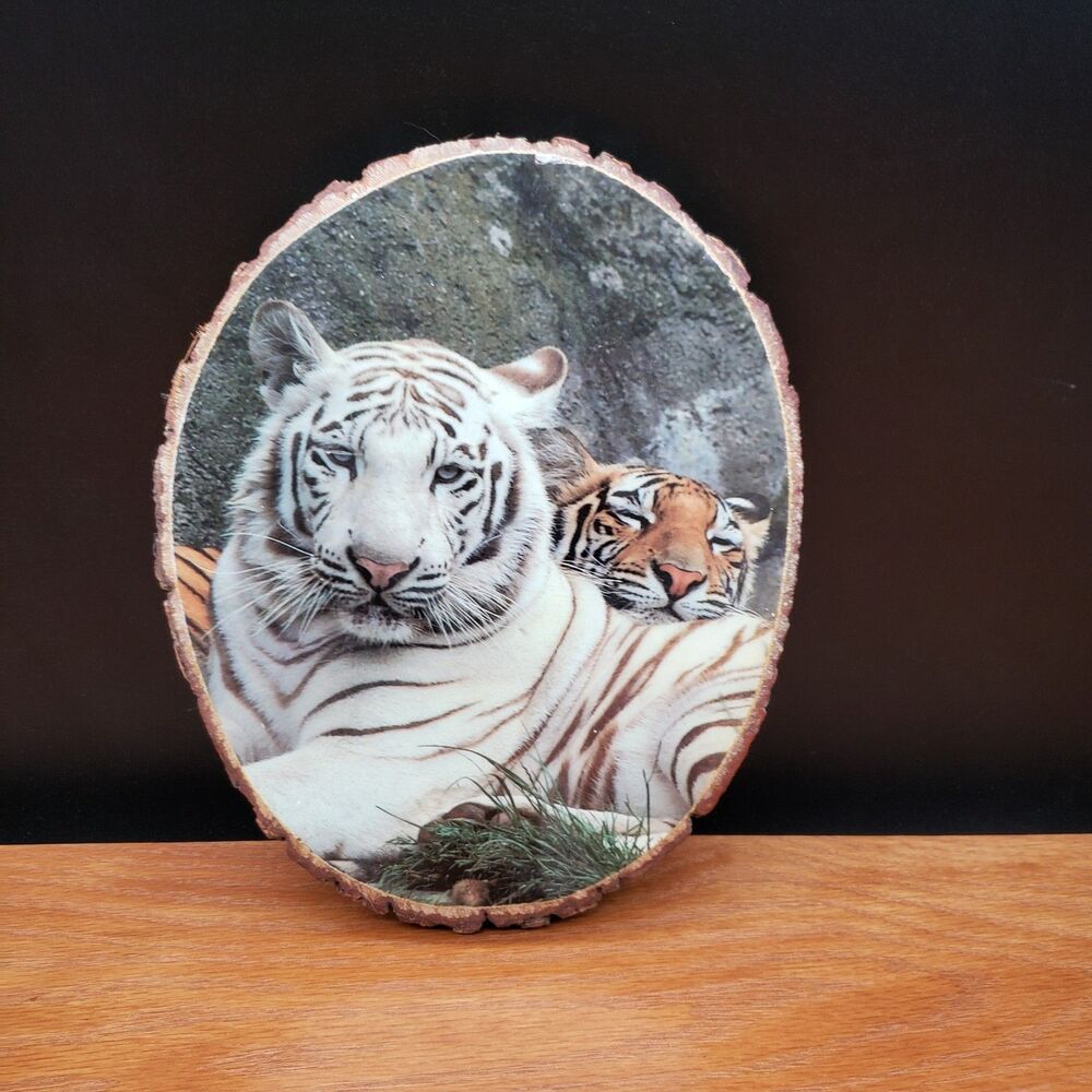 Vintage Black Hills SD Wood Slice Wall Plaque – Tigers – Bark Edge Decor